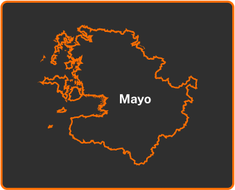 Moving Company Mayo