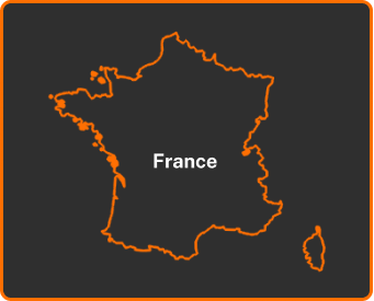 Moving Company France